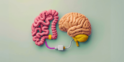 llustration eines Darms und eines Gehirns, verbunden durch Kabel – Symbol für die Verbindung zwischen Verdauung und mentaler Gesundheit.