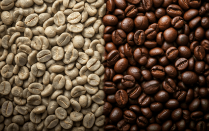 grüne und braune Kaffebohnen ungeröstet und geröstet hajoona Balance Kaffee coffee beans coffein